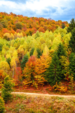 Colorful autumn landscape in the Romanian Carpathians, Fantanele village, Sibiu county, Cindrel mountains, 1100m, Romaniaの写真素材