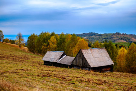 Colorful autumn landscape in the Romanian Carpathians, Fantanele village, Sibiu county, Cindrel mountains, 1100m, Romaniaの写真素材