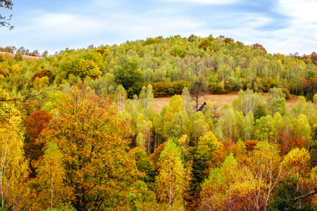 Colorful autumn landscape in the Romanian Carpathians, Fantanele village, Sibiu county, Cindrel mountains, 1100m, Romaniaの写真素材