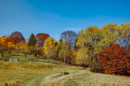 beautiful autumn landscapes in the Romanian mountains, Fantanele village area, Sibiu county, Cindrel mountains, Romaniaの写真素材