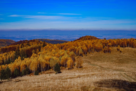 beautiful autumn landscapes in the Romanian mountains, Fantanele village area, Sibiu county, Cindrel mountains, Romaniaの写真素材