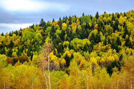Colorful autumn landscape in the Romanian Carpathians, Fantanele village, Sibiu county, Cindrel mountains, 1100m, Romaniaの写真素材