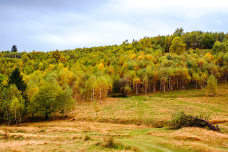 Colorful autumn landscape in the Romanian Carpathians, Fantanele village, Sibiu county, Cindrel mountains, 1100m, Romaniaの写真素材