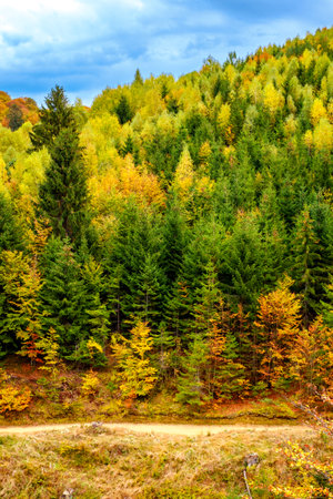 Colorful autumn landscape in the Romanian Carpathians, Fantanele village, Sibiu county, Cindrel mountains, 1100m, Romaniaの写真素材