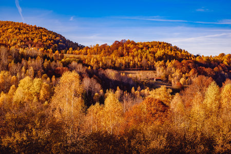 beautiful autumn landscapes in the Romanian mountains, Fantanele village area, Sibiu county, Cindrel mountains, Romaniaの写真素材