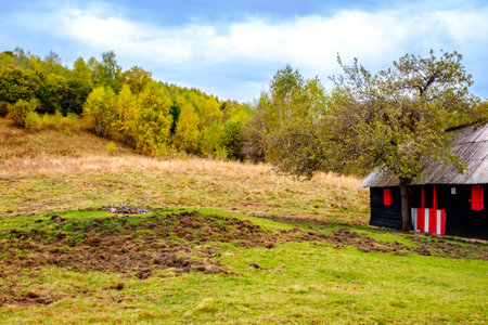 Colorful autumn landscape in the Romanian Carpathians, Fantanele village, Sibiu county, Cindrel mountains, 1100m, Romaniaの写真素材