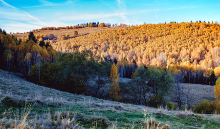 beautiful autumn landscapes in the Romanian mountains, Fantanele village area, Sibiu county, Cindrel mountains, Romaniaの写真素材