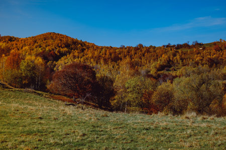 beautiful autumn landscapes in the Romanian mountains, Fantanele village area, Sibiu county, Cindrel mountains, Romaniaの写真素材