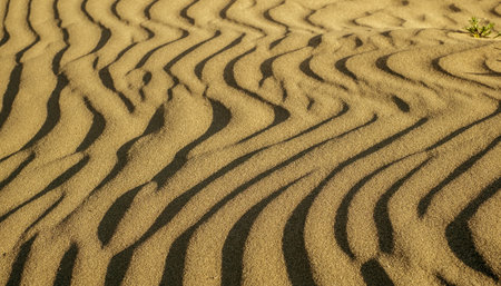 Background texture of desert sandの写真素材