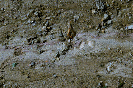 sand texture on the beach
