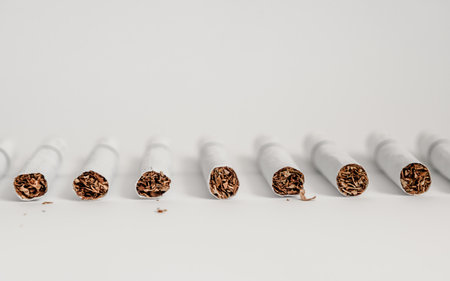 a lot of lined up cigarettes with white filtersの写真素材