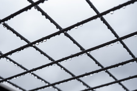 drops of water on the wiresの写真素材