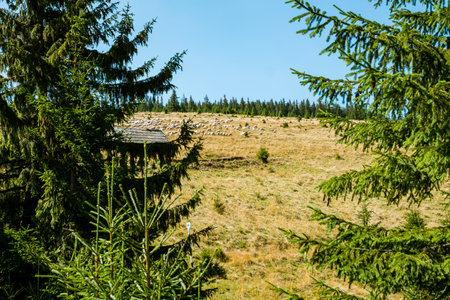 view from Cindrel mountains, Romaniaの写真素材