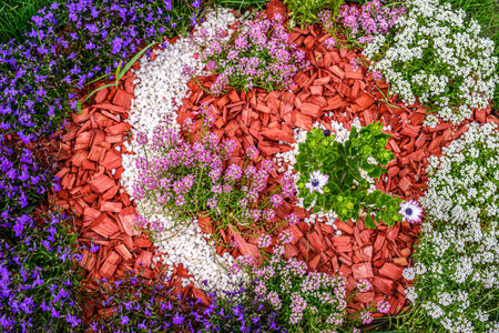 Garden arrangement with various flowersの写真素材