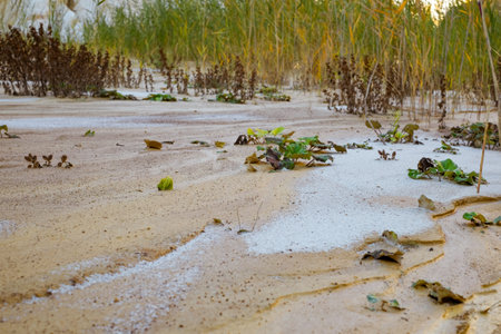 kaolin open pit mine, Vetovo village area, Bulgaria