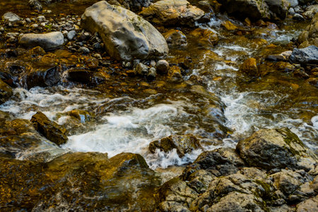 Ramet gorges from Transylvania, Trascau mountains, Alba county, Romaniaの写真素材