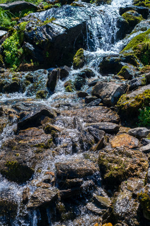 a mountain river flowing on Top of Mount Suru in Carpathian Mountains, Transylvania, Romaniaの写真素材
