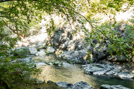 Ramet gorges from Transylvania, Trascau mountains, Alba county, Romaniaの写真素材