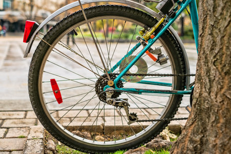 rear wheel of city bike leaning against a treeの写真素材