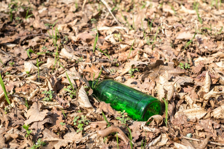A dirty plastic and glass bottle left in the autumn forest. Plastic waste in the environment.の写真素材
