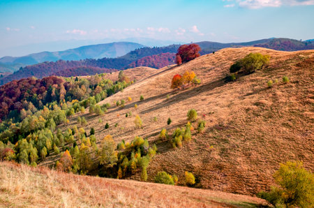 Romanian mountains in autumn season, Cindrel mountains, Paltinis area, Sibiu county, central Romaniaの写真素材
