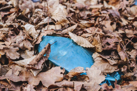 A dirty plastic bottle left in the autumn forest. Plastic waste in the environment. Autumn season. Plastic bottle garbage in a forest.の写真素材