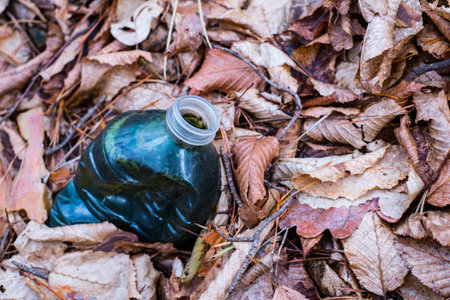 A dirty plastic bottle left in the autumn forest. Plastic waste in the environment. Autumn season. Plastic bottle garbage in a forest.の写真素材