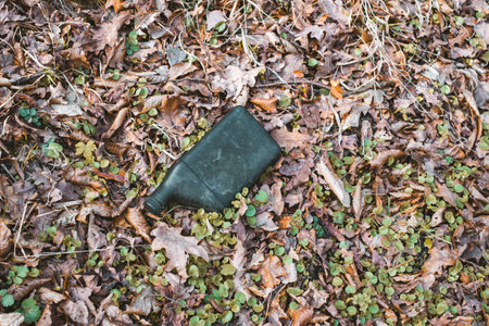A dirty plastic bottle left in the autumn forest. Plastic waste in the environment. Autumn season. Plastic bottle garbage in a forest.の写真素材