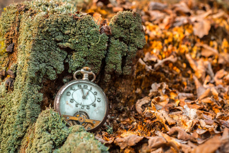 Antique decayed pocket watch in nature with dry leaves and green mossの写真素材