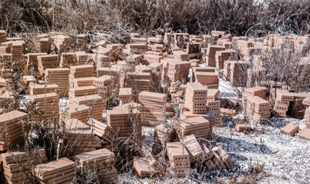red thermal bricks thrown on the old asphalt