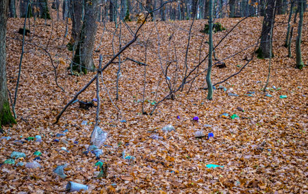 Environmental pollution. Garbage from domestic waste polluted autumn forest. Dumbrava forest, Sibiu, Romaniaの写真素材