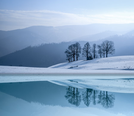 winter reflection in the lakeの写真素材