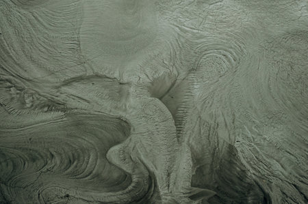 lizard fossil in the mud in the chemical mining waste residuals flooding into a settling basin,...