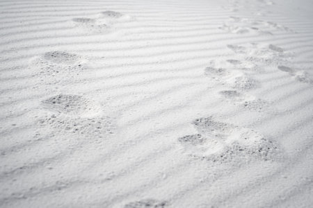 traces on the white sandの写真素材
