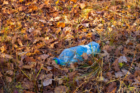 A dirty plastic bottle left in the autumn forest. Plastic waste in the environment. Autumn season. Plastic bottle garbage in a forest.の写真素材