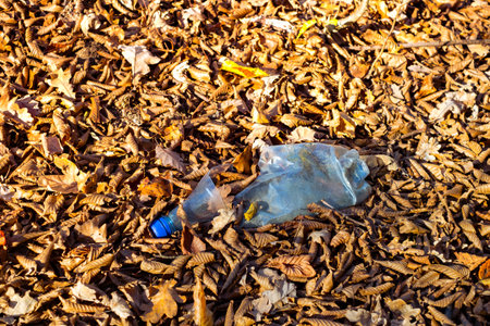 A dirty plastic bottle left in the autumn forest. Plastic waste in the environment. Autumn season. Plastic bottle garbage in a forest.の写真素材
