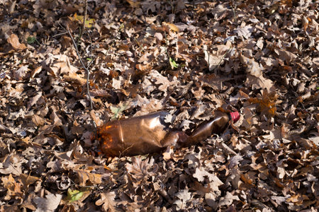 A dirty plastic bottle left in the autumn forest. Plastic waste in the environment. Autumn season. Plastic bottle garbage in a forest.の写真素材