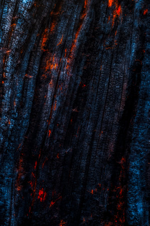 Burning log of wood, close up viewの写真素材
