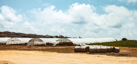 Hill with terraced fields for agriculture and old buildings in Ghajnsielem, Gozo island, Maltaの写真素材