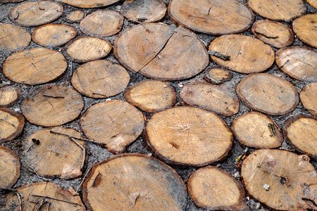 Beautiful walkway made of round slices of a tree trunkの写真素材