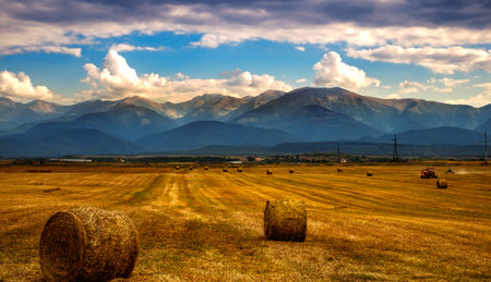 agricultural field at the foot of the mountains, Avrig city, Sibiu county, Romaniaの写真素材