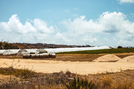 Hill with terraced fields for agriculture and old buildings in Ghajnsielem, Gozo island, Maltaの写真素材