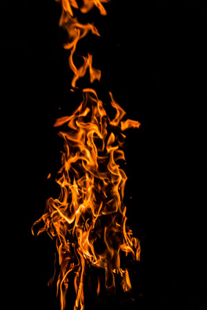 Dancing flames against a black background.の写真素材