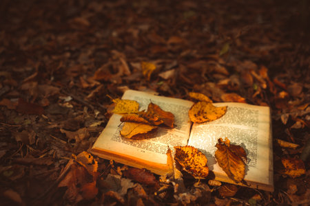 book open in the autumnal forest covered by leavesの写真素材