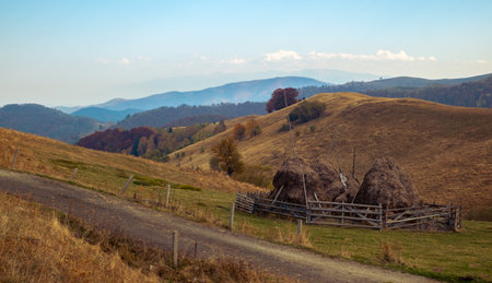 autumn colors on hills in the countryの写真素材