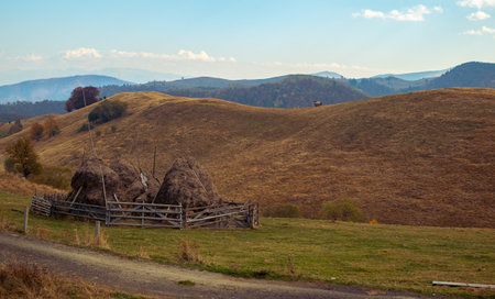 autumn colors on hills in the countryの写真素材