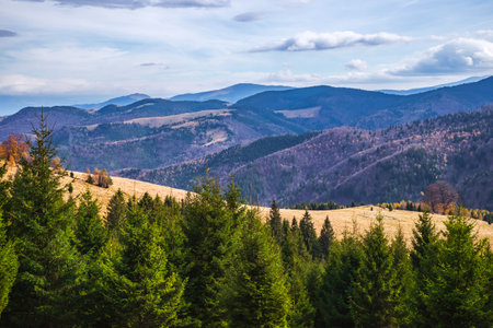 Mountains in the fall season, Paltinis area, Sibiu county, Romaniaの写真素材