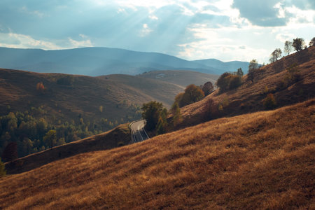 Mountains in the fall season, Paltinis area, Sibiu county, Romaniaの写真素材