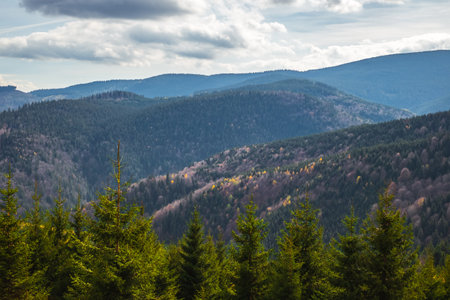Mountains in the fall season, Paltinis area, Sibiu county, Romaniaの写真素材