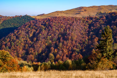 hills in the fall season, Fantanele village, Sibiu county, Romaniaの写真素材